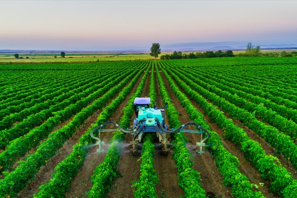 90 millions € pour que les viticulteurs réduisent massivement les phytos