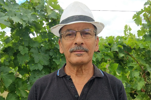 'Le vignoble bordelais est en cessation de paiement objective'