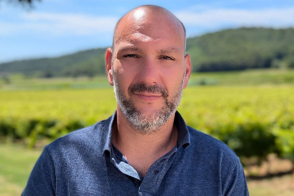 Dernière baisse de rendement avant l’arrachage pour les vins rouges des Côtes-du-Rhône