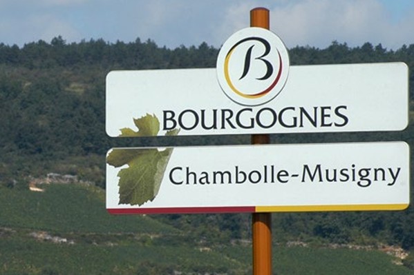869 panneaux de signalisation des vins de Bourgogne aux enchères