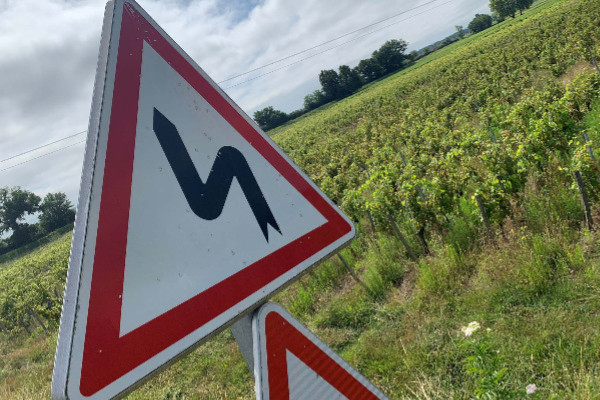 Vers des sanctions à 5 000 €/ha pour les vignes en friche
