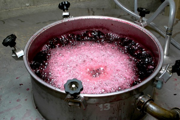 Ne laissez plus s’échapper le CO₂ de vos cuves de vin, vendez-le 80 à 100 €/tonne !