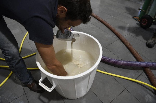 Levurer en pied de cuve modifie le profil aromatique des vins