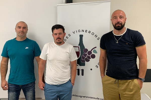 Les vignerons de l'Aude appellent région et négoce à la rescousse