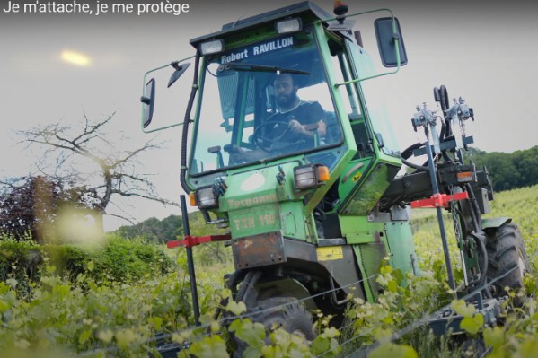 Déhanchés vignerons pour la ceinture de sécurité