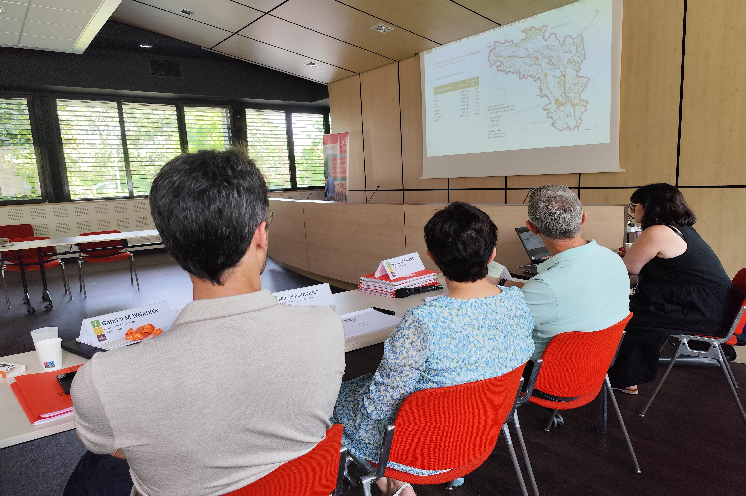 Attribution des terres et des vignes mises en vente : dans les coulisses de la Safer