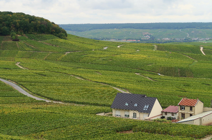 Un référé pour publier Pestiriv, l’étude sur l’exposition phyto des voisins de vignes
