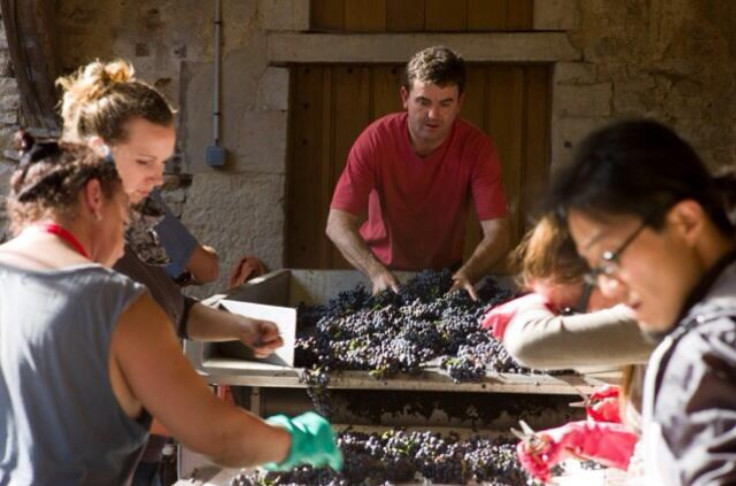 The Burgundy wine industry mourns Nicolas Potel The Burgundy wine industry mourns Nicolas Potel