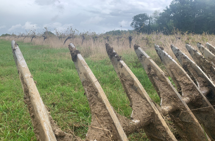 Encore 5 500 ha de vignes à arracher à Bordeaux, a minima, pour 600 viticulteurs en difficulté