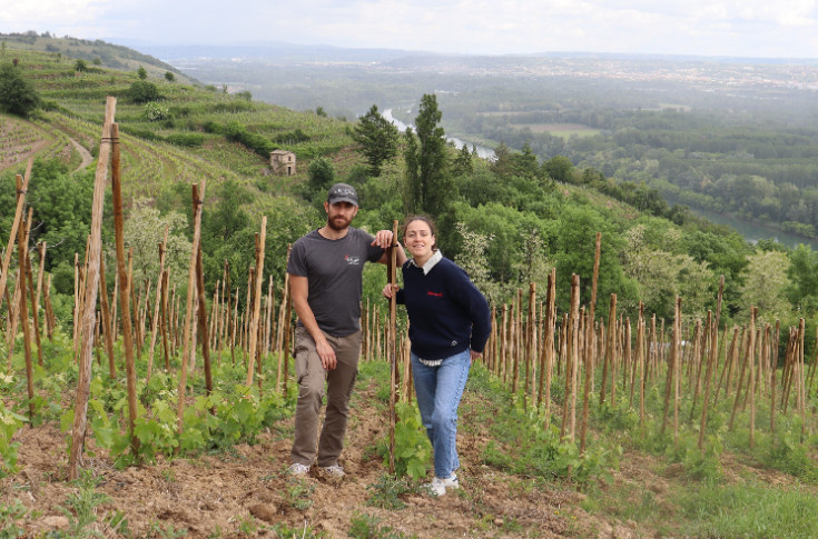 Recours à des treuils, pulvé à dos... ces vignerons travaillent sur des pentes à 35 %