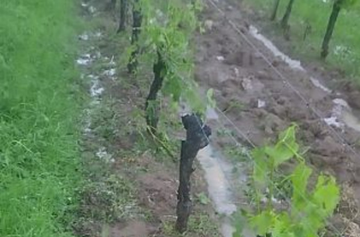 70 000 € tombent du ciel pour protéger les vignes bordelaises de la grêle