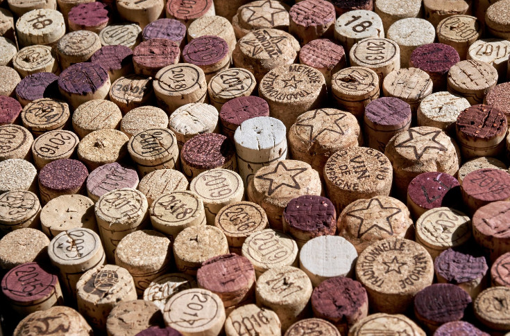 +49 % de défaillances dans le vignoble, secoué par les liquidations en Nouvelle-Aquitaine