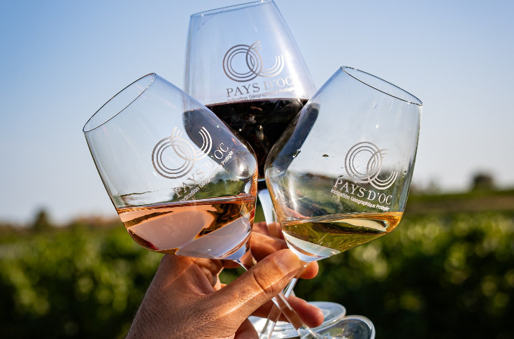 Pays d’Oc orientera le prix de ses vins bio et HVE dès 2025