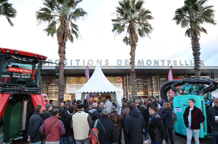 46 % des vignerons intéressés par la diversification : huile d'olives, miel, tourisme...