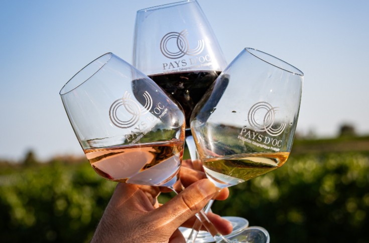 Pays d’Oc to set indicative prices for its organic and HVE-certified wines in 2025 Pays d’Oc to set indicative prices for its organic and HVE-certified wines in 2025