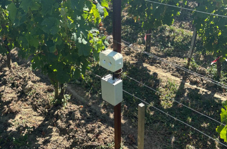 Capter la pousse de la vigne pour mieux renouveler les traitements de cuivre
