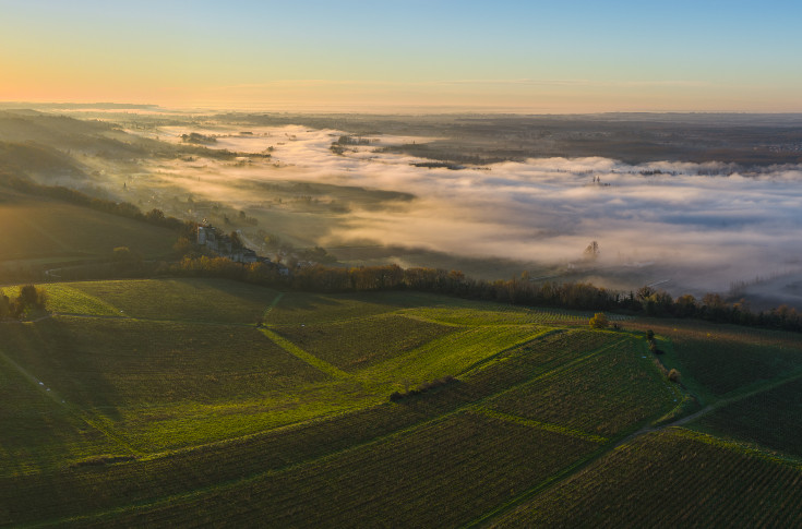 Les vins de Cadillac misent sur les Premières Côtes de Bordeaux face à la pression foncière et la dépression financière