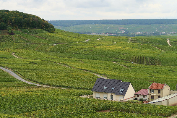 Un référé pour publier Pestiriv, l’étude sur l’exposition phyto des voisins de vignes
