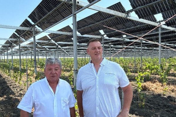 'La plus grande ferme agrivoltaïque viticole de France' inaugurée dans les Corbières