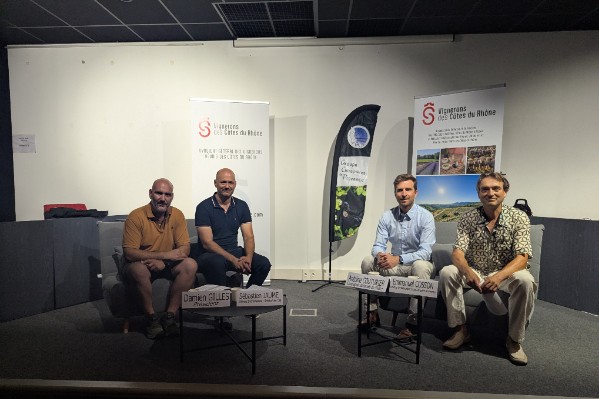 Les chauves-souris protégées sans un euro vigneron dépensé