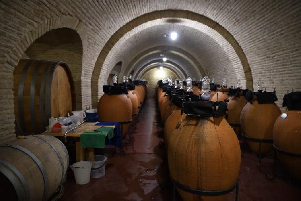 Tout en bravant la Russie, la Géorgie continue de lui vendre les deux tiers de ses vins