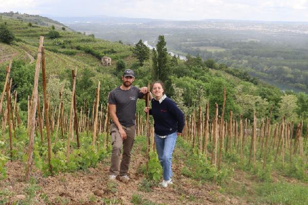 Recours à des treuils, pulvé à dos... ces vignerons travaillent sur des pentes à 35 %