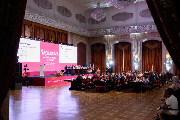 14 changements réglementaires actés par l'ONU du vin