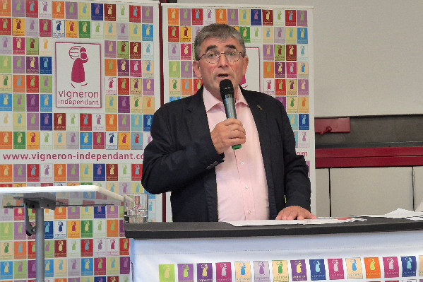 L'arrachage désormais évoqué par les vignerons d'Alsace