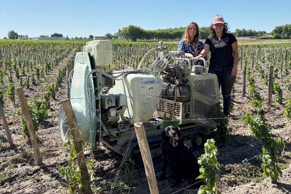 'Après la pluie, je passe là où personne d'autre ne passe' une vigneronne bordelaise mise sur la pulvérisation sur chenillard
