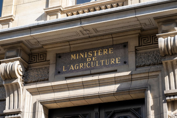 'Pris à la gorge' le vignoble dévoile son 'plan de sauvetage' : arrachages, distillation, prix rémunérateurs, trésoreries…