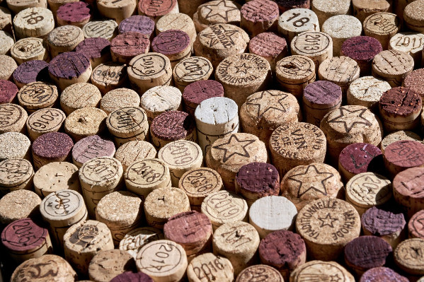 +49 % de défaillances dans le vignoble, secoué par les liquidations en Nouvelle-Aquitaine