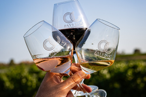 Pays d’Oc orientera le prix de ses vins bio et HVE dès 2025