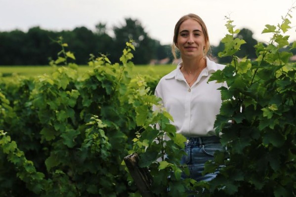 Marie Volle dirige les vins de Sauternes et Barsac