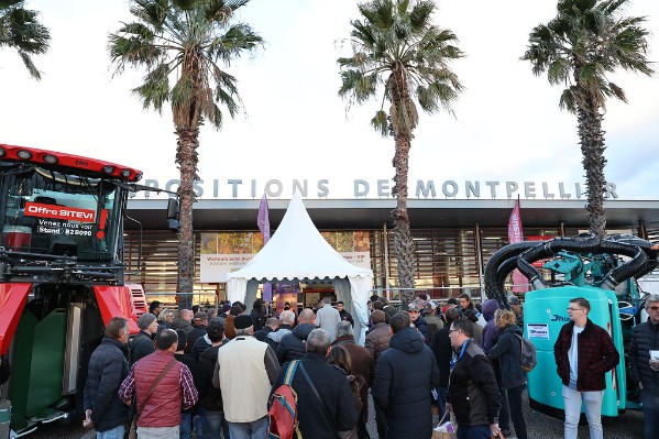 46 % des vignerons intéressés par la diversification : huile d'olives, miel, tourisme...