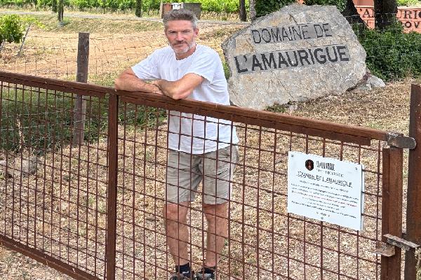Face à la prolifération des sangliers, des vignerons font la chasse