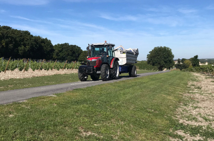 Avec 44 millions hl, la France ne va pas faire le plein lors des vendanges 2022