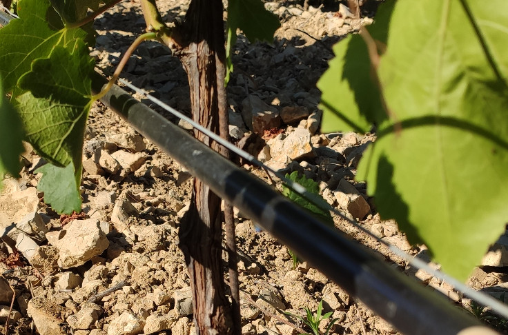 Réglement européen pour l'irrigation par eaux usées traitées en 2023