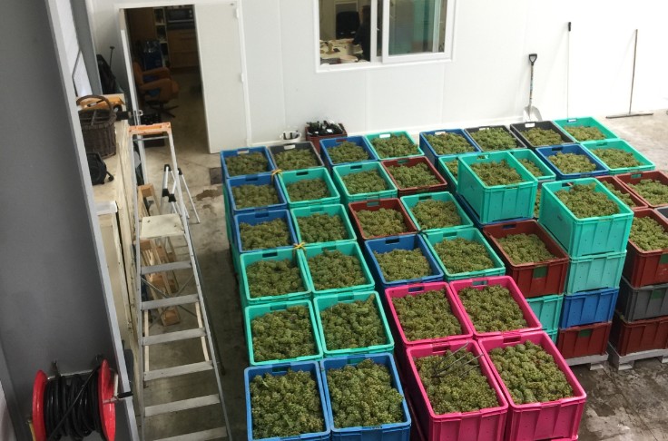 +1000kg/ha pour la réserve en Champagne 