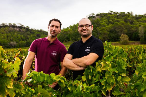  Vignerons et coop dans l'expectative face à la baisse des ventes en Grande Distribution