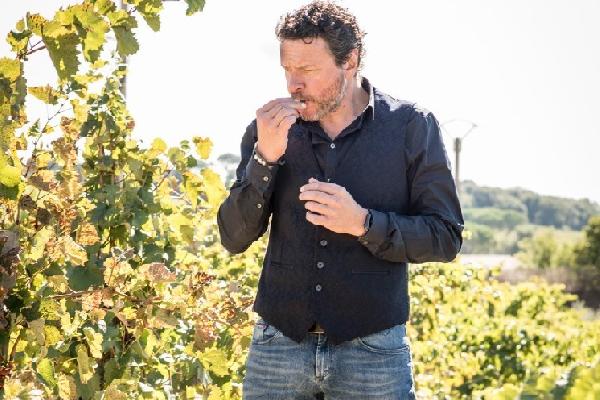  Les conseils des acheteurs pour élaborer des rouges qui se vendent