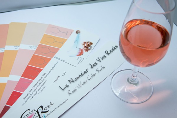 Comment la fermentation joue sur la couleur des vins rosés 