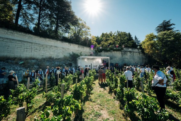 Le ban des vendanges se réinvente à Avignon