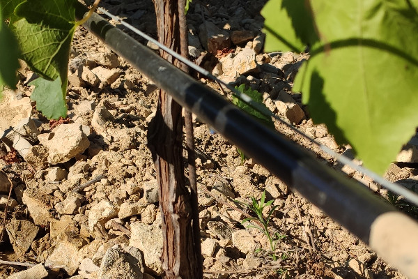 Réglement européen pour l'irrigation par eaux usées traitées en 2023