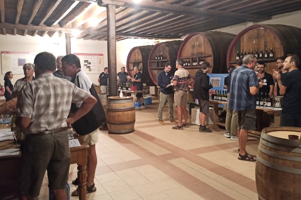 Des alternatives au gamay et au chardonnay dans le Beaujolais