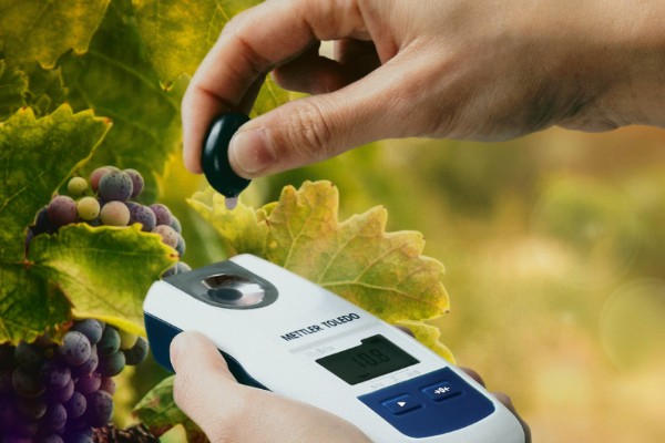 Un nouveau réfractomètre de poche pour les contrôles maturité