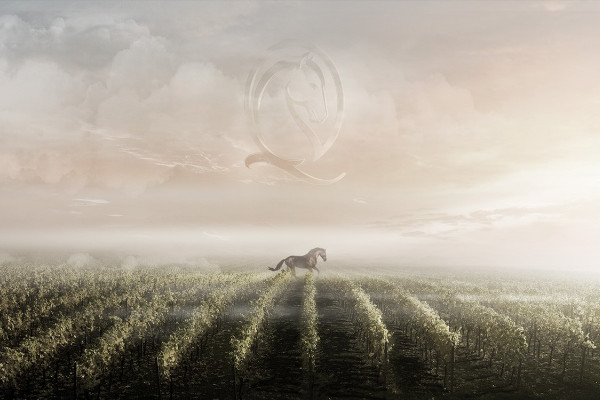 Larraqué rachète et investit plus de 20 millions € dans les vins Cheval Quancard   