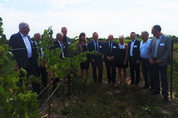 10 ans et 5 millions € pour le transfert de la collection des cépages de Vassal