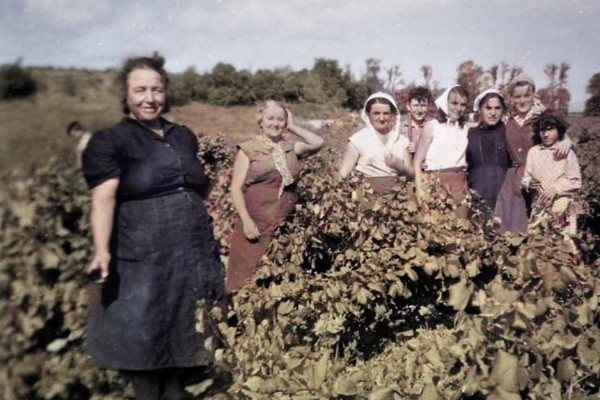 'L’épopée des vignerons' et de leurs régions, le documentaire TV à voir absolument