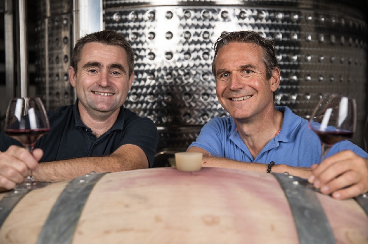  Les conseils des oenologues pour élaborer des vins sans sulfites sans soucis