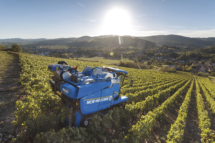 Attachement à la marque, force commerciale, SAV performant... : les raisons du succès des machines à vendanger Braud